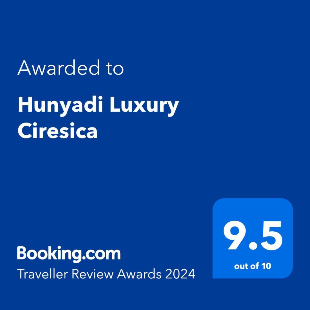 Апартаменти Hunyadi Luxury Ciresica Сібіу Екстер'єр фото